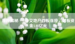 涨停揭秘   中交地产首板涨停，封板资金1.08亿元