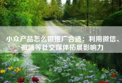 小众产品怎么做推广合适：利用微信、微博等社交媒体拓展影响力