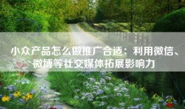 小众产品怎么做推广合适：利用微信、微博等社交媒体拓展影响力