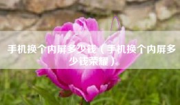 手机换个内屏多少钱（手机换个内屏多少钱荣耀）