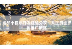 成都小程序开发经验分享：从工具选择到推广策略