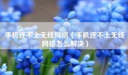 手机连不上无线网络（手机连不上无线网络怎么解决）