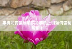 手机如何强制解锁（手机上锁如何强制解锁）