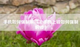 手机如何强制解锁（手机上锁如何强制解锁）