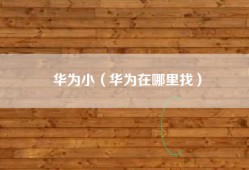 华为小（华为在哪里找）