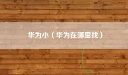 华为小(华为在哪里找)