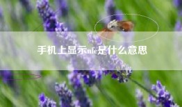 手机上显示nfc是什么意思