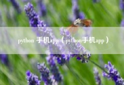 python 手机app（python手机app）