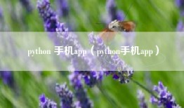 python 手机app（python手机app）