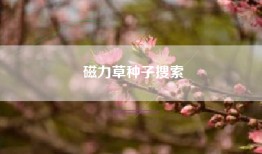 磁力草种子搜索