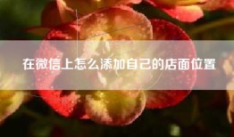 在微信上怎么添加自己的店面位置