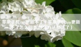 苹果手机app更新不了（苹果手机app更新不了怎么回事,什么方法都试了）