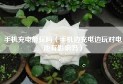 手机充电能玩吗（手机边充电边玩对电池有影响吗）