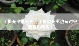 手机充电能玩吗（手机边充电边玩对电池有影响吗）