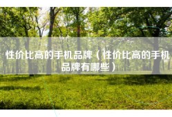 性价比高的手机品牌（性价比高的手机品牌有哪些）