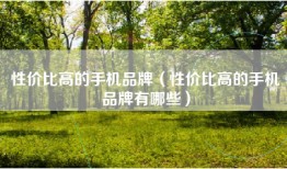 性价比高的手机品牌（性价比高的手机品牌有哪些）