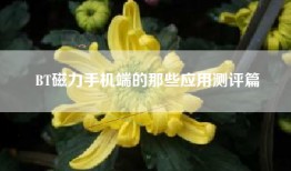 BT磁力手机端的那些应用测评篇