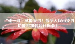 “碰一碰”就能支付！数字人民币支付功能将加载到社保卡上
