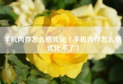 手机内存怎么格式化（手机内存怎么格式化不了）