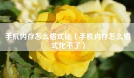 手机内存怎么格式化（手机内存怎么格式化不了）