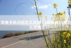 苹果手机闪信怎么关闭（0级短信 闪信怎么关闭）