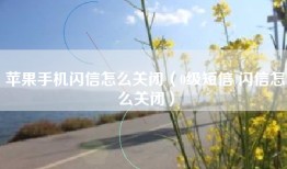 苹果手机闪信怎么关闭（0级短信 闪信怎么关闭）