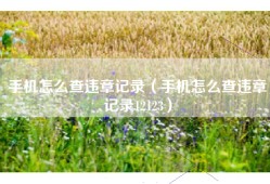 手机怎么查违章记录（手机怎么查违章记录12123）