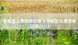 手机怎么查违章记录（手机怎么查违章记录12123）