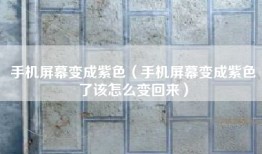 手机屏幕变成紫色（手机屏幕变成紫色了该怎么变回来）