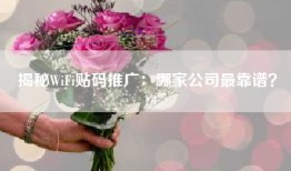 揭秘WiFi贴码推广：哪家公司最靠谱？
