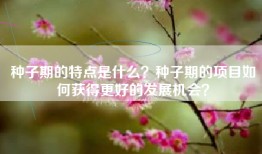 种子期的特点是什么？种子期的项目如何获得更好的发展机会？