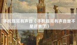 手机摇晃有声音（手机摇晃有声音是不是进水了）