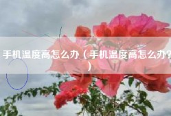 手机温度高怎么办（手机温度高怎么办？）