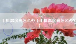 手机温度高怎么办（手机温度高怎么办？）