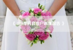 《 2020年抖音用户画像报告 》