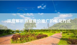 深度解析百度竞价推广的常见方式