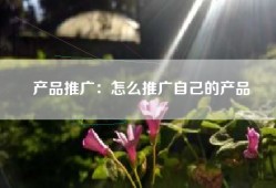 产品推广：怎么推广自己的产品