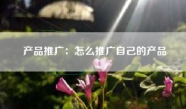 产品推广：怎么推广自己的产品