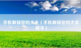 手机解锁密码大全（手机解锁密码大全数字）