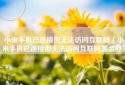 小米手机已连接但无法访问互联网（小米手机已连接但无法访问互联网怎么办？）