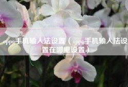 oppo手机输入法设置（oppo手机输入法设置在哪里设置）