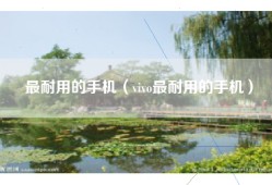 最耐用的手机（vivo最耐用的手机）