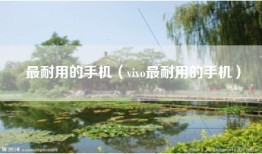 最耐用的手机（vivo最耐用的手机）