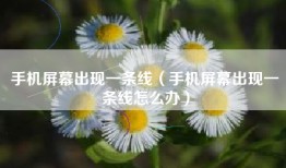 手机屏幕出现一条线（手机屏幕出现一条线怎么办）