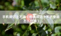 手机微信上不去（手机微信上不去电脑怎么回事）