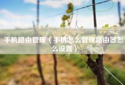 手机路由管理（手机怎么管理路由器怎么设置）