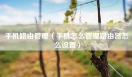 手机路由管理（手机怎么管理路由器怎么设置）