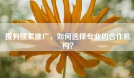 搜狗搜索推广，如何选择专业的合作机构？