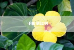 手机测辐射