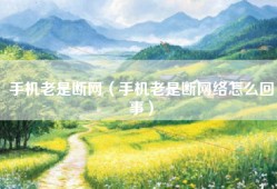 手机老是断网（手机老是断网络怎么回事）